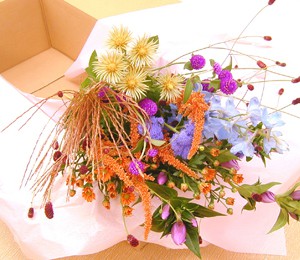 花々BOX【Bコース】×半年(6回分)