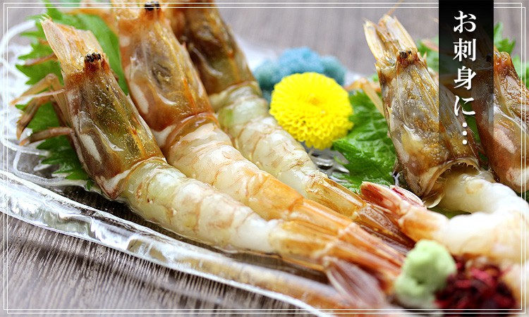 越前ガラえび500g(2-4人前)